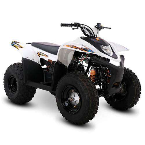 SMC Hornet 100cc Junior Quad Bike - Mini Quad Bikes